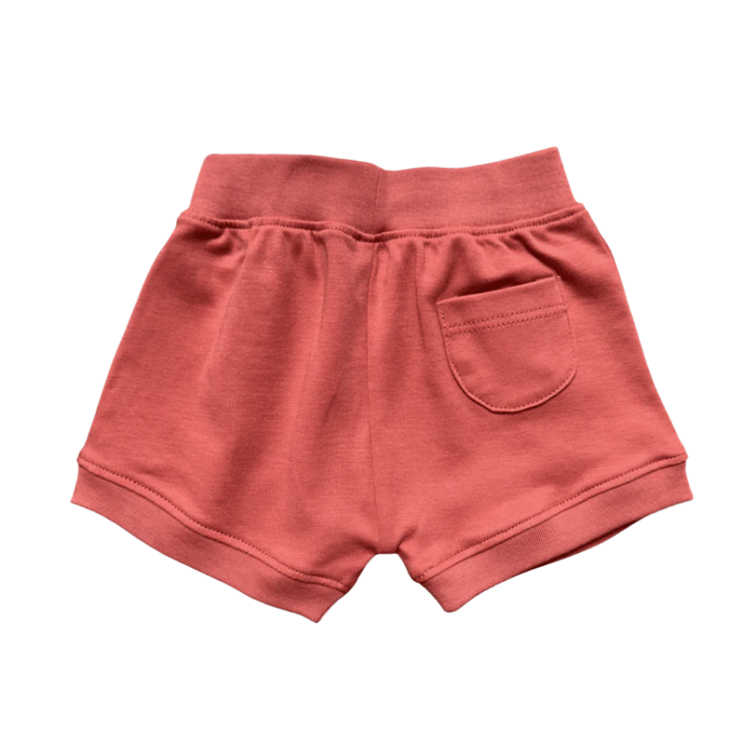 Short-sleeved bodysuit & shorts set- otter*