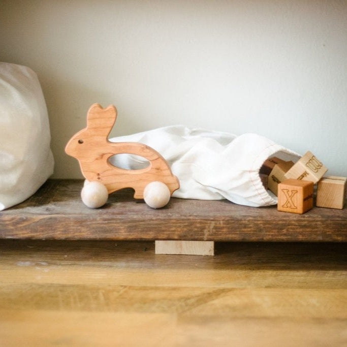 Wooden Push Toy - Bunny