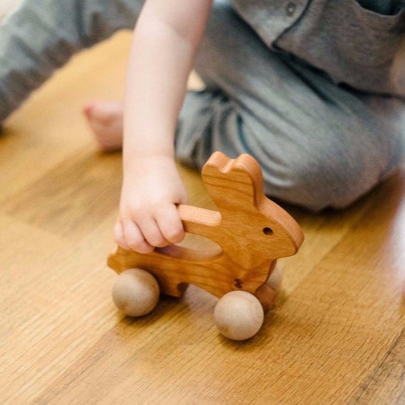 Wooden Push Toy - Bunny